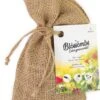 Blossombs Jute Zak Zaadbommen 8 Stuks 2 Blossombs Jute Zak Zaadbommen 8 Stuks -Talen Tools Winkel 8720387429295 1