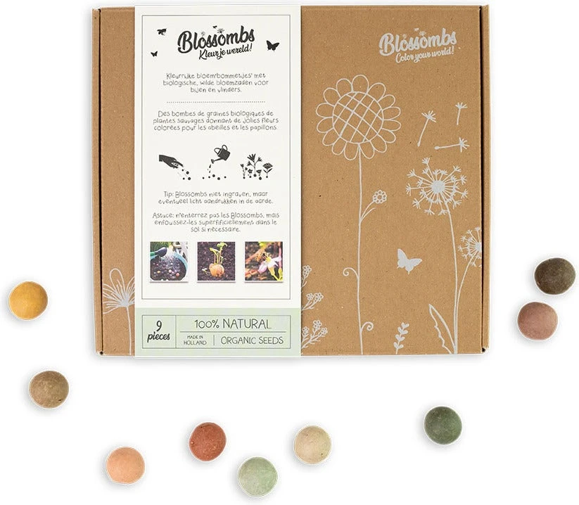 Blossombs Bloemzaadbom Giftbox 18 X 16 X 2,5 Cm 9 Stuks 3 Blossombs Bloemzaadbom Giftbox 18 X 16 X 2,5 Cm 9 Stuks