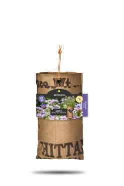 Baza Hangtuintje Biologische Bijenbrood (Phacelia Tanacetifolia)