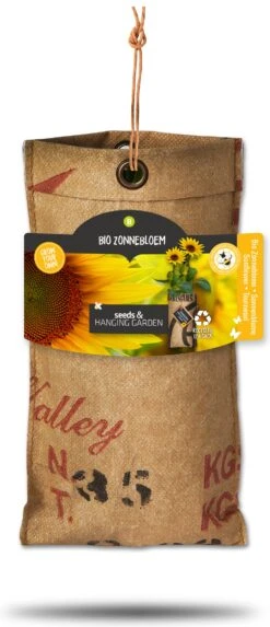 Baza Hangtuintje Biologische Dwerg Zonnebloem (Helianthus)