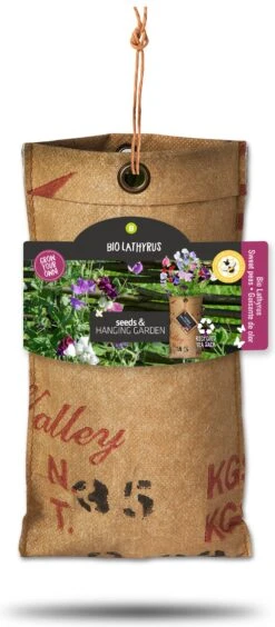 Baza Hangtuintje Biologische Pronkboon (Lathyrus Odoratus)