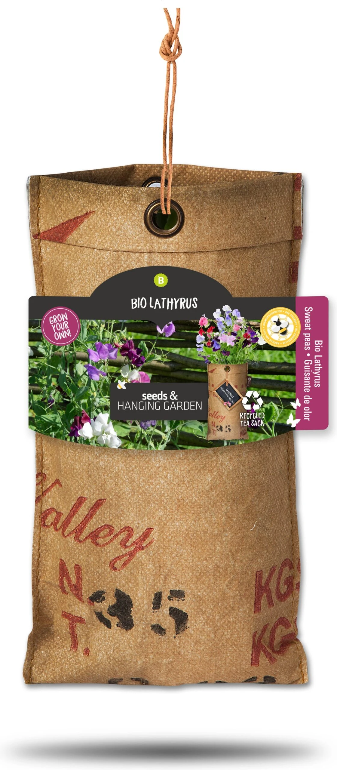Baza Hangtuintje Biologische Pronkboon (Lathyrus Odoratus) 3 Baza Hangtuintje Biologische Pronkboon (Lathyrus Odoratus)
