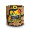Baza Keukentuintje Biologische Goudsbloem (Calendula Officinalis) -Talen Tools Winkel 8726200273144