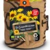 Baza Keukentuintjebiologische Zonnebloem Mini (Helianthus) 2 Baza Keukentuintjebiologische Zonnebloem Mini (Helianthus) -Talen Tools Winkel 8726200273151