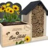 Baza Bee Hotel Biologische Zonnebloem (Helianthus) Met Insectenhotel 2 Baza Bee Hotel Biologische Zonnebloem (Helianthus) Met Insectenhotel -Talen Tools Winkel 8726200276411