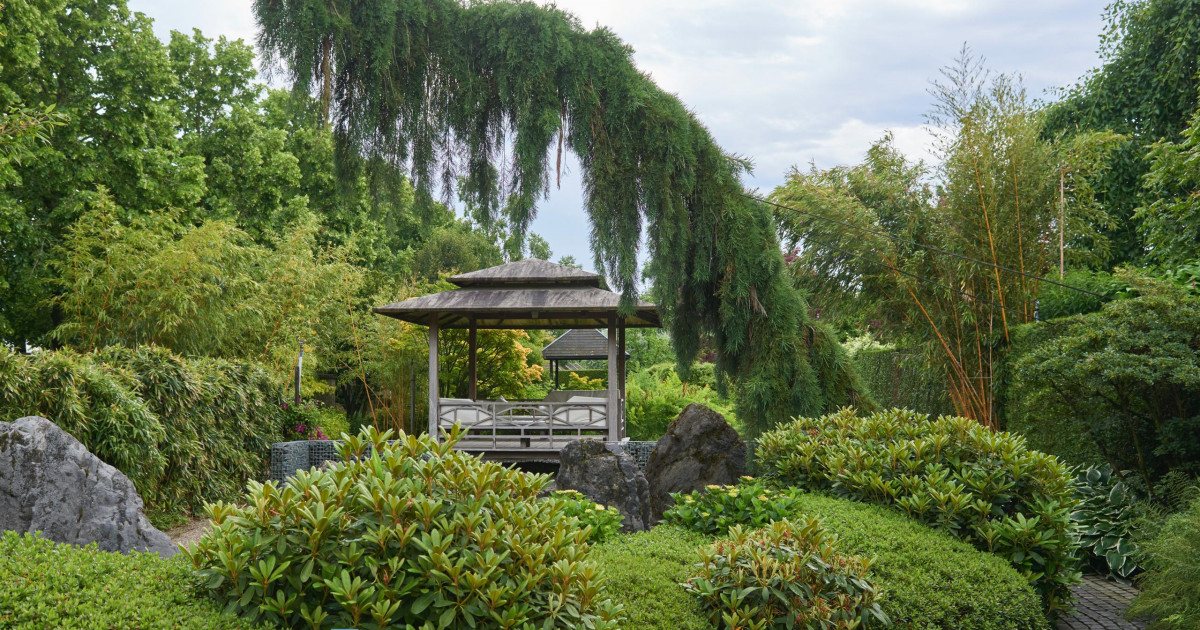 Talen Tools Winkel -Talen Tools Winkel 6906010 226