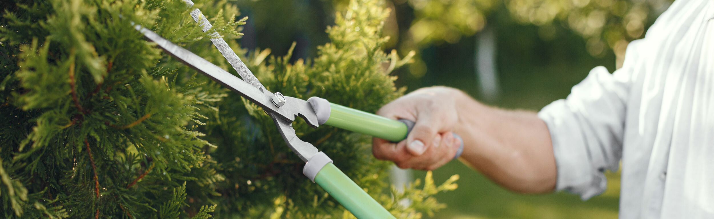 Talen Tools Winkel -Talen Tools Winkel tuingereedschap heggenschaar